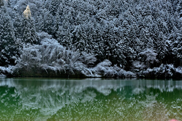 雪景色の笠置峡