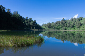Beautiful tranquil landscape at a lake, with blue sky and the trees, reflected in the clear blue water.