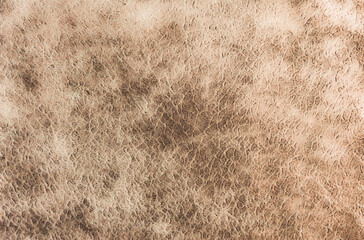 A grunge abstract Brown background. High quality photo. sewing fabric