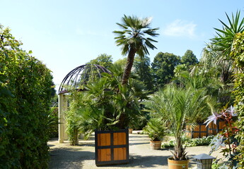 Palmen Garten in der Kur Stadt Bad Pyrmont, Niedersachsen
