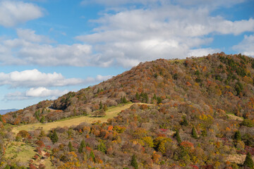 紅葉する山