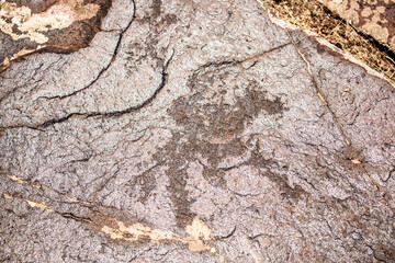 Petroglyphs on the rocks in Kazakhstan. The ancient parking cave man. Historical cave paintings. Carved on stone images of deer, goats and wolves. The development of ancient peoples.