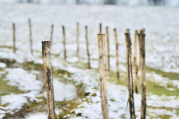 Helle, freundliche, positive Winter Landschaft im schönen Details mit Zaun Pfählen und einem...