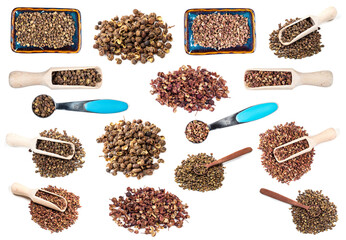 set of various sichuan pepper cutout on white