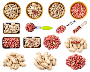 set of various peanuts cutout on white