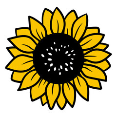 Vector sunflower. Hand drawn illustration.