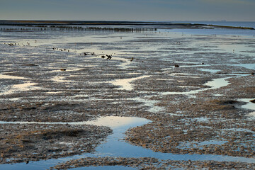 Abendstimmung im Wattenmeer, Ostfriesland