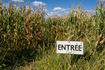 Entrance to a corn maze on a farm, a typical activity in the Monteregie region of Quebec, Canada