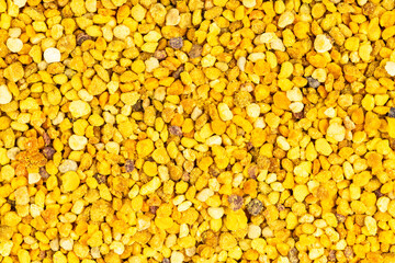 background from natural bee pollen grains closeup