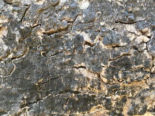 texture of stone