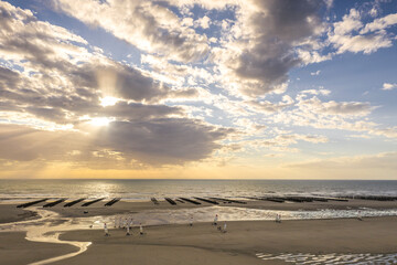 Fototapeta na wymiar Les chars-à-voile sur la plage de Quend