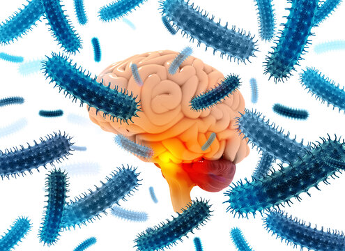 Bacteria or virus around the human brain. 3d illustration