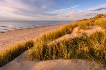 Les dunes de Quend-plage couvertes d'oyats