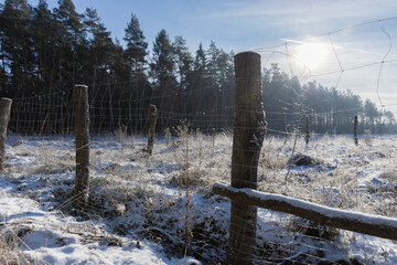 Ogrodzenie w lesie w mroźny zimowy poranek, zaszronione druty ogrodzenia dla szkółki roślin
