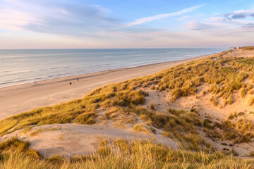 Les dunes de Quend-plage couvertes d'oyats
