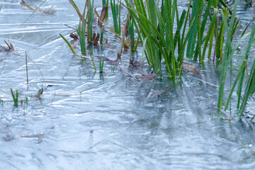 寒さで池の水が凍る　東京、赤坂にある東京ミッドタウン