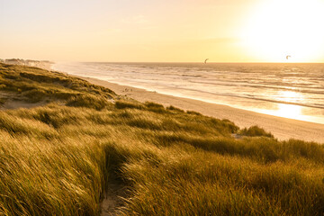 Plage de Picardie entre Fort-Mahon et Quend-Plage - Vue aérienne
