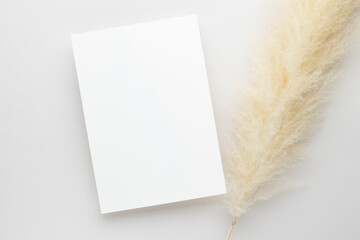White invitation card mockup with a pampas grass on grey background, Minimal grey workplace composition, flat lay, mockup