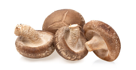 Shiitake Mushroom isolated on white