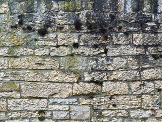 The texture of a natural stone wall. Background image