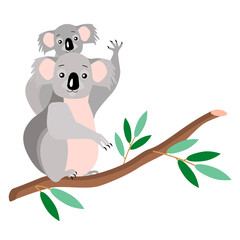 An attractive koala with a small cub on a tree, isolated on a white background.Vector illustration.