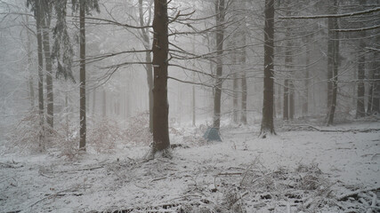 Cold snowy winter landscapes in the forest along the Albsteig hiking trek in Baden-Württemberg, Germany.