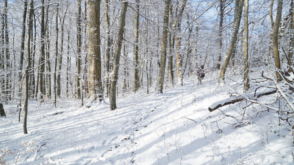 Cold snowy winter landscapes in the forest along the Albsteig hiking trek in Baden-Württemberg, Germany.