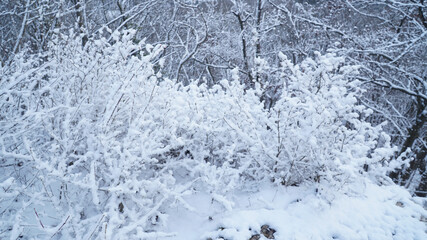 Fototapeta premium Cold snowy winter landscapes in the forest along the Albsteig hiking trek in Baden-Württemberg, Germany.