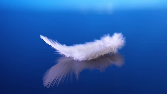 White fluffy feather falls on the water on a blue background. 4k macro slow motion video.