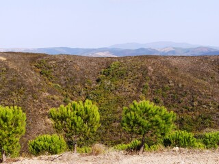Fototapeta na wymiar Paysage typique de l'Alentejo au sud du Portugal