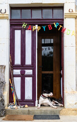 cumplea&ntilde;os en casa de campo con perro