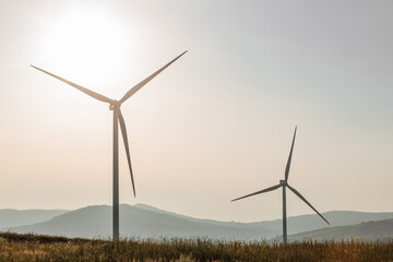 Alternative energy wind turbines standing and working on green farm. Summer sunset on background. Countryside landscape.