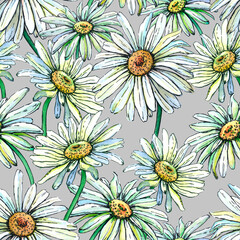 Watercolor pattern of daisies