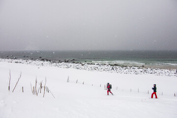 Winter in Bleik Beach, Lofoten Islands, Northern Norway