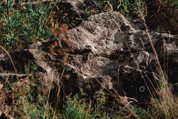 Medieval Castle in the Apuseni mountains, Valisoara, Romania