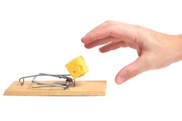 Hand reaches for piece cheese in mousetrap on a white background.Concept business, life and hard...