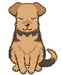 おじぎするエアデールテリア（ウェルシュテリア）