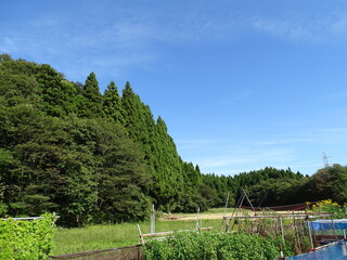 初秋の農村風景