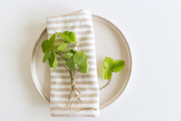Empty plate with leaves Hepatica nobilis.Anemone hepatica, the common hepatica, liverwort, kidneywort, or pennywort, is a species of a flowering plant.