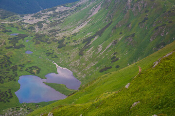 wycieczka w góry