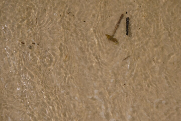 Clean clear water. Sandy bottom of the lake Svityaz. Reflection. Ecology Ukraine. 