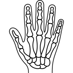 Bones of a human hand and wrist