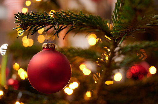 Rote Christbaumkugel hängt zu Weihnachten an einem Weihnachtsbaum in einem Wohnzimmer