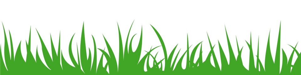 Green grass border. Vector herb silhouette for design.