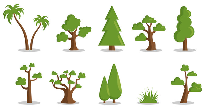 Different Vector Trees. Collection of plants for design.
