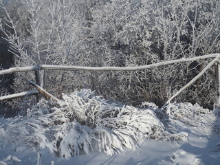 wooden fences are covered with snow and frost.