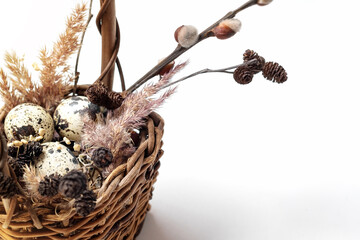 Easter wicker basket with small spotted eggs and fluffy pampas grass