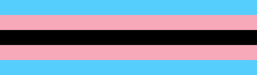 Black trans flag. Symbol of the black transgender community.