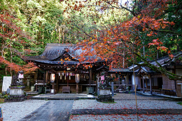 紅葉に彩られた神社