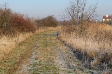 Weg in der Natur